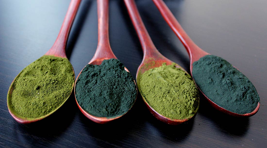 Prášok z chlorelly a spiruliny riasy
