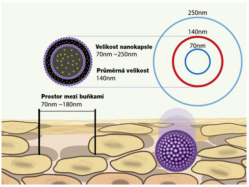 Nanokapsuly proces prenikanie do kože